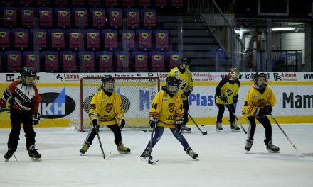 Jäähallille arkea taklaamaan