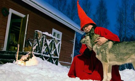 Haapamäen Havaintotila – pala metsähistoriaa