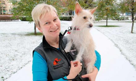 Punaturkin muistilista talveen