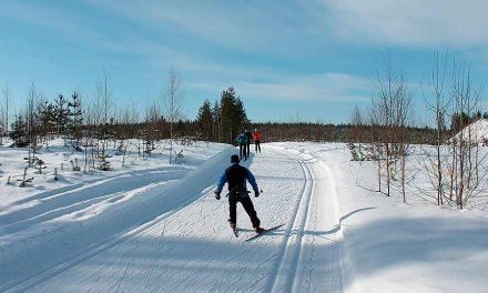 Siilinjärvi – elämyksiä luonnosta!
