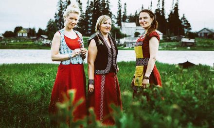 Siilifolk – Tykkeet kuitennii!