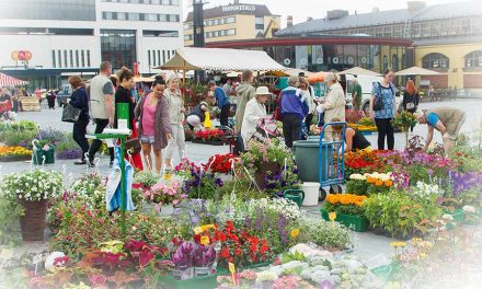 Kaupunkilaisten olohuone