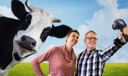 Lämpökuvausta navetassa