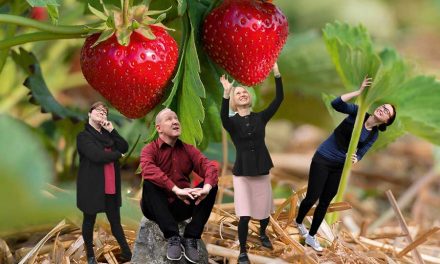 Uusia avauksia Ruokalaaksossa